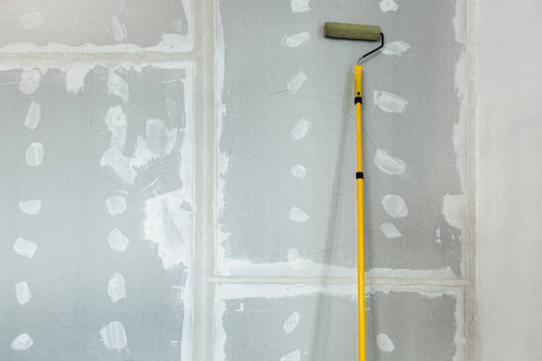 Best Drywall Crack Repair  in Tenino, WA