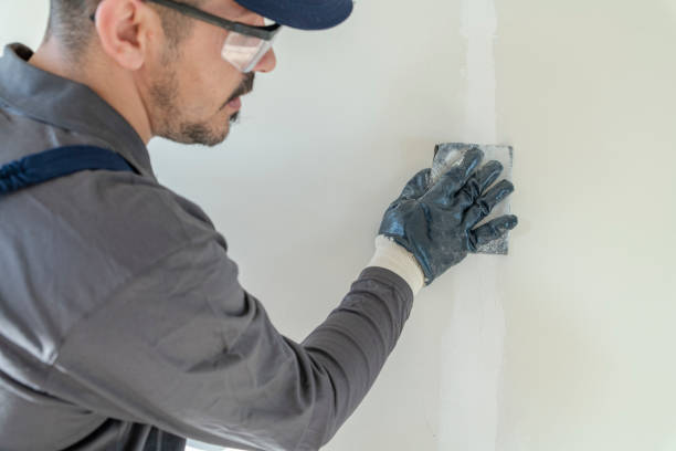 Best Water-Damaged Drywall Repair  in Tenino, WA