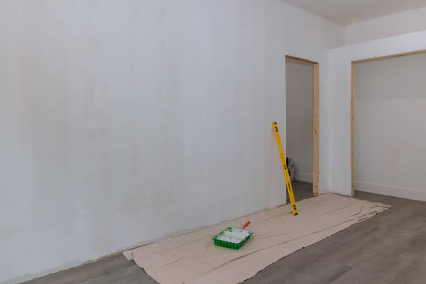 Best Ceiling Drywall Installation  in Tenino, WA