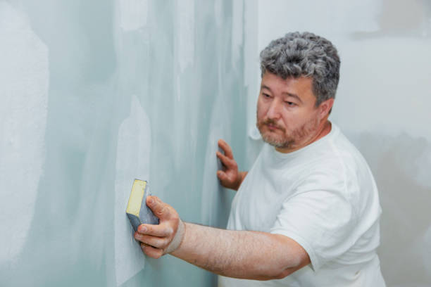 Best Drywall Sanding and Smoothing  in Tenino, WA